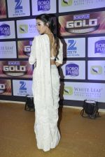 Barkha Bisht at ZEE Gold Awards on 9th June 2016